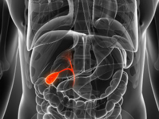 Gallbladder and Gallstones in line