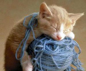 jax with yarn