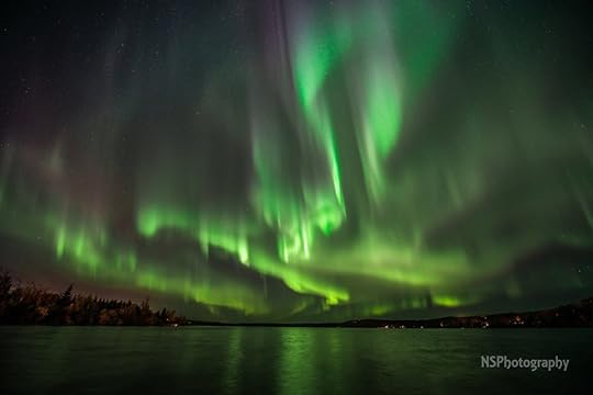 14523071_569329849858872_3130818061609010317_n