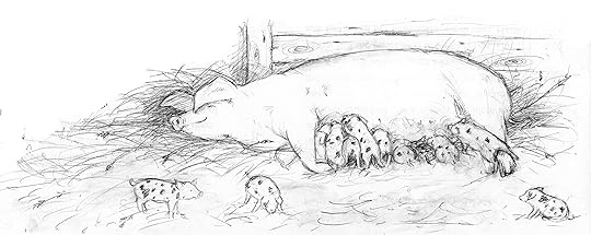 A Piglet Called Truffle - Ellie Snowdon
