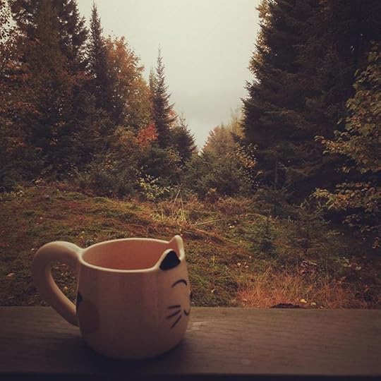 Fall in the Laurentian mountains #igerslaurentides #igersquebec #laurentides #laurentians #quebec