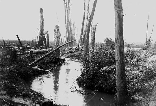 The River Douve, which ran near the Battalion's trenches, flooding them when it burst its banks.