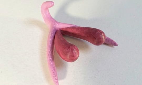 3D printed clitoris