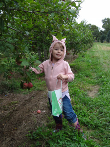 violaapplepicking