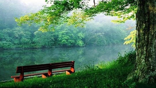 bench by a river: 