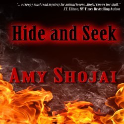 audio of Hide And Seek thriller