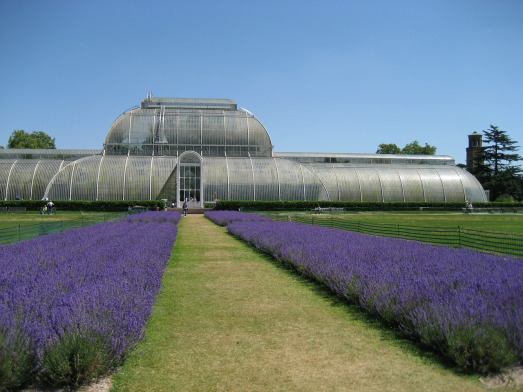 kew-gardens-500598_1280-t3-pixabay