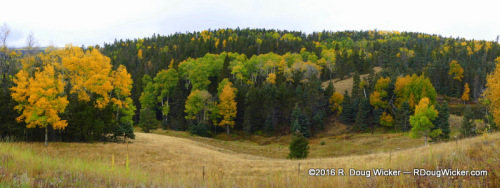 Enchanted Circle Fall Foliage