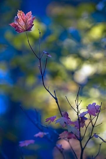 coolthofautumn1