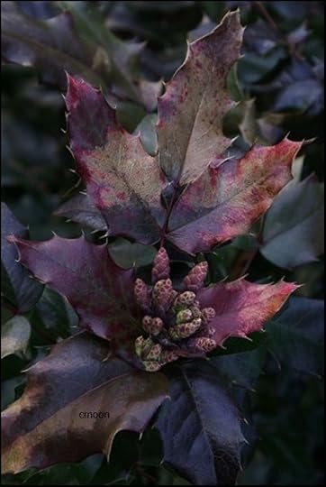 coolthofautumn4