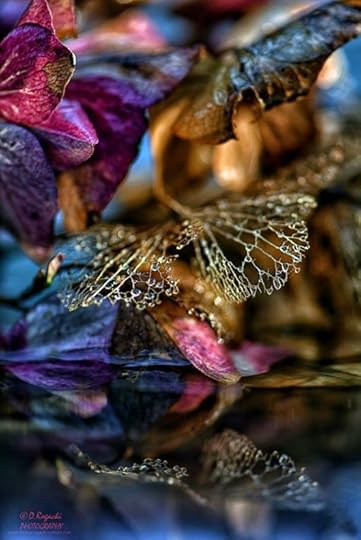 coolthofautumn6