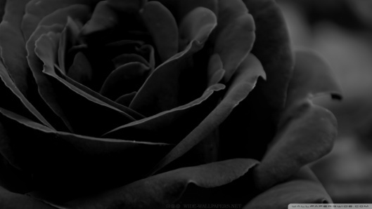 reverie