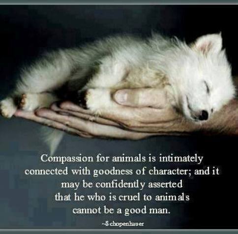 compassion-3