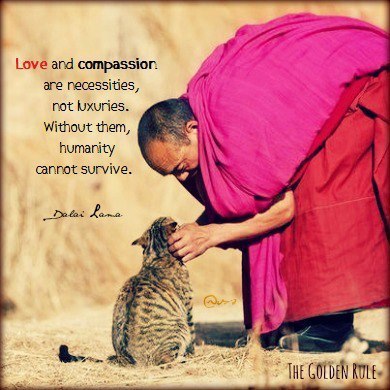 love-and-compassion