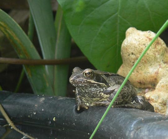 photos-apr-to-july-2012-055-2