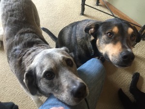 Galen and the boy who loves her