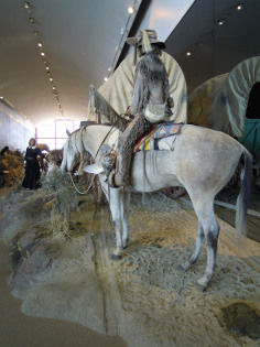 466-diorama-horse