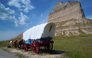 502-painted-wagon-oxen-scotts-bluff-2