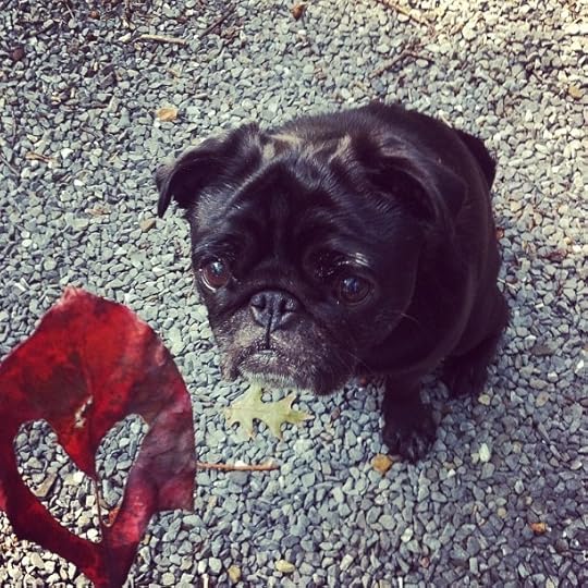 2012-08-25_1345905314