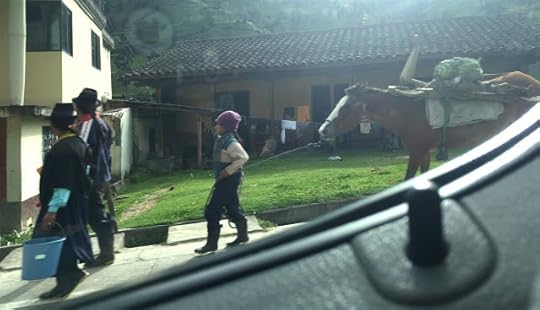 Family outing with horse
