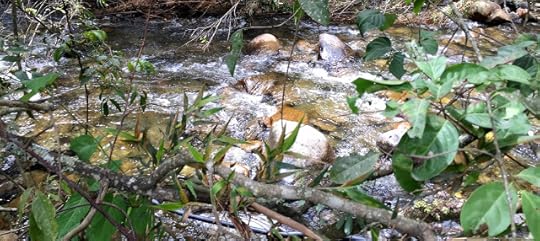 River in the San Pedro neighborhood