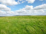 Steeling Hill Enclosure, near Coniston Cold, North Yorks.