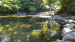 Lithia Park, Ashland, OR