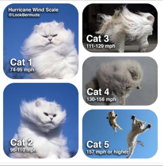 screen-shot-2016-10-06-at-9-56-29-am