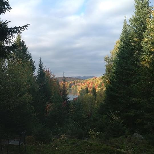 afternoon fall light #laurentides #laurentians #quebec #fall