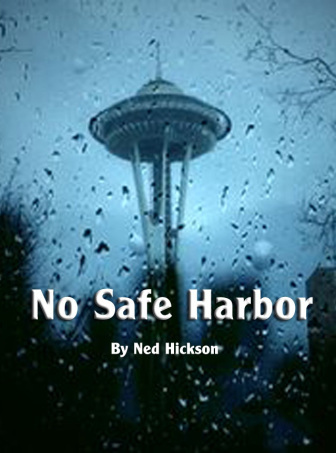 ned-safe-harbor