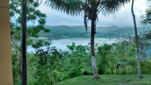 Photos in the fog and mist at her husband's house in Puerto Rico. 