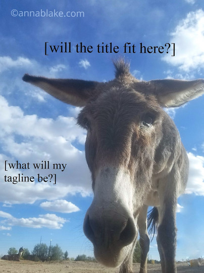 wm-lateral-lilith-fauxcover