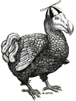 small_dodo_transparent