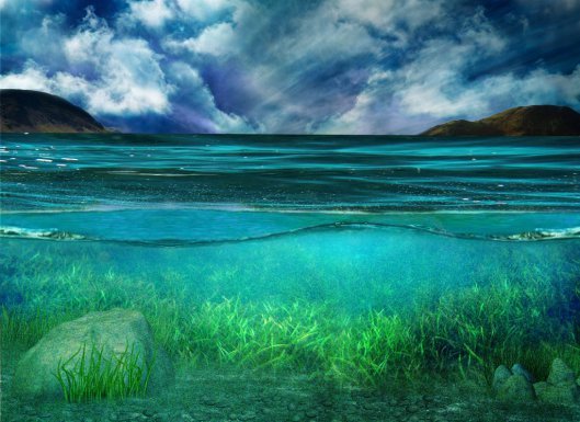 tranquility Rests