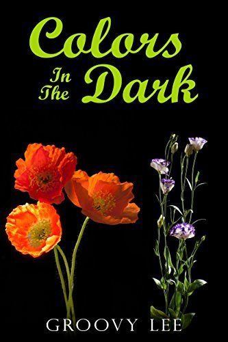 COLORS IN THE DARK by [Lee, Groovy]