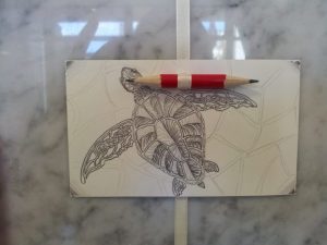 20160505_093424turtle-768x576