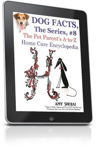 ipadverticalright_634x982