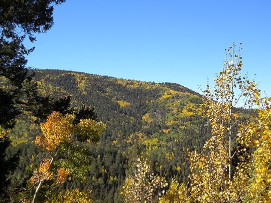 Colorado Fall Colors