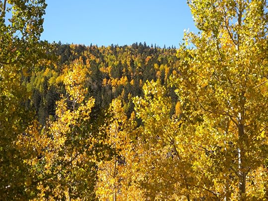 Colorado Fall Colors