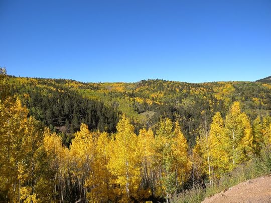 Colorado Fall Colors