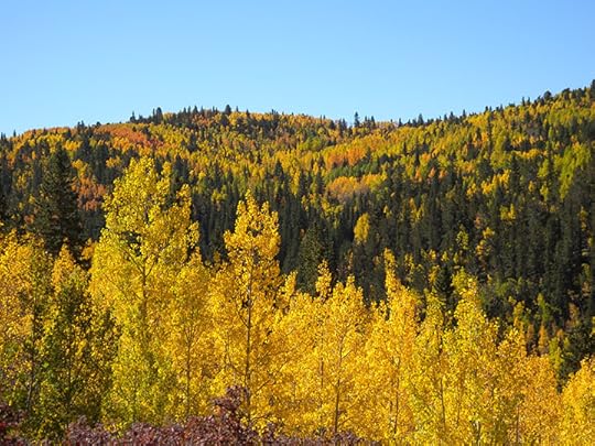 Colorado Fall Colors