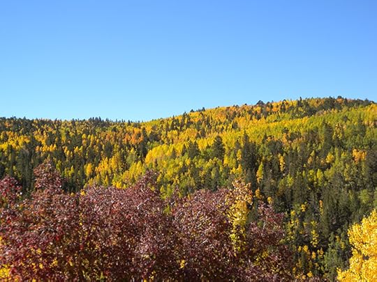 Colorado Fall Colors