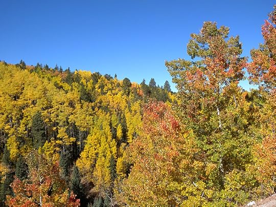 Colorado Fall Colors