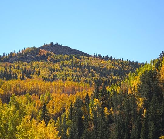 Colorado Fall Colors