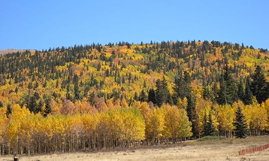 Colorado Fall Colors
