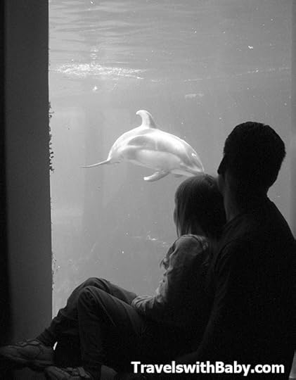 temperament and travel with children