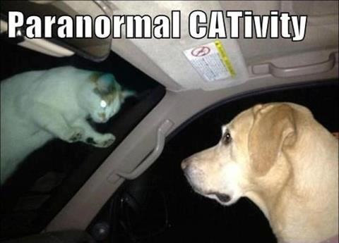 paranormal