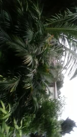 20161006_190204
