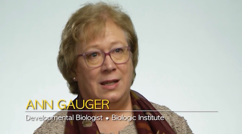 Gauger Origin.jpg
