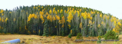 Enchanted Circle Fall Foliage Panorama